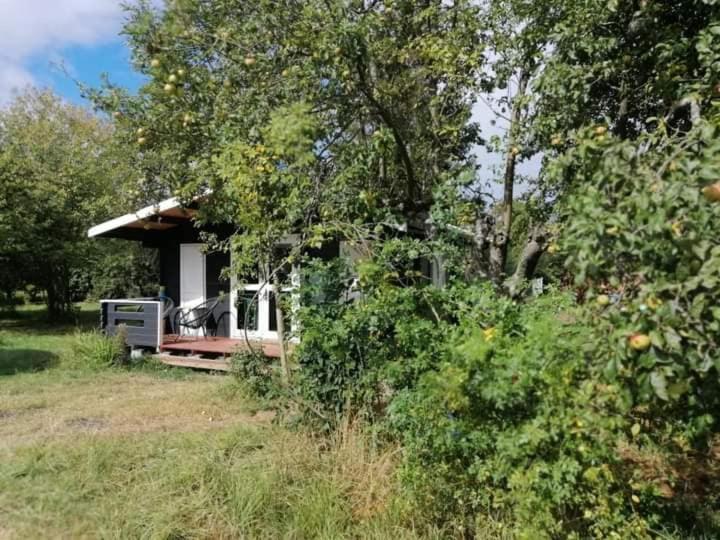 Kiszkowianka Domki Skrzeszewo  Buitenkant foto